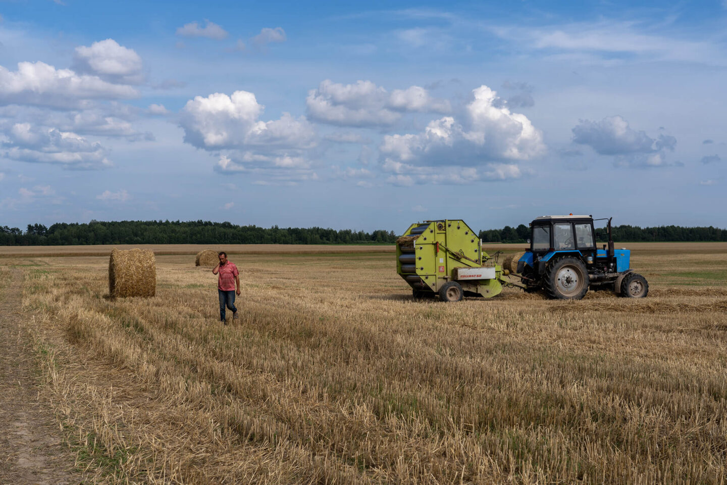 The War Harvests