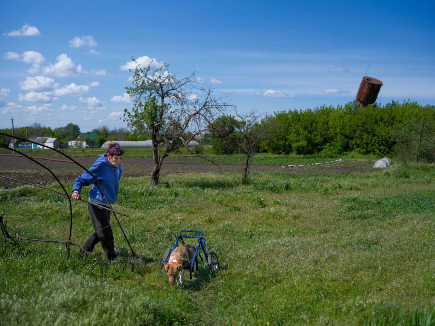 Олена будує новітній ковчег