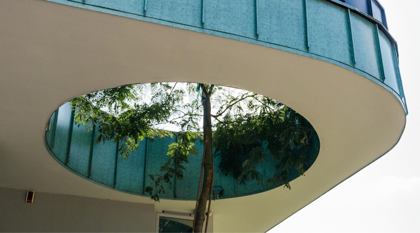 Як воно росте?