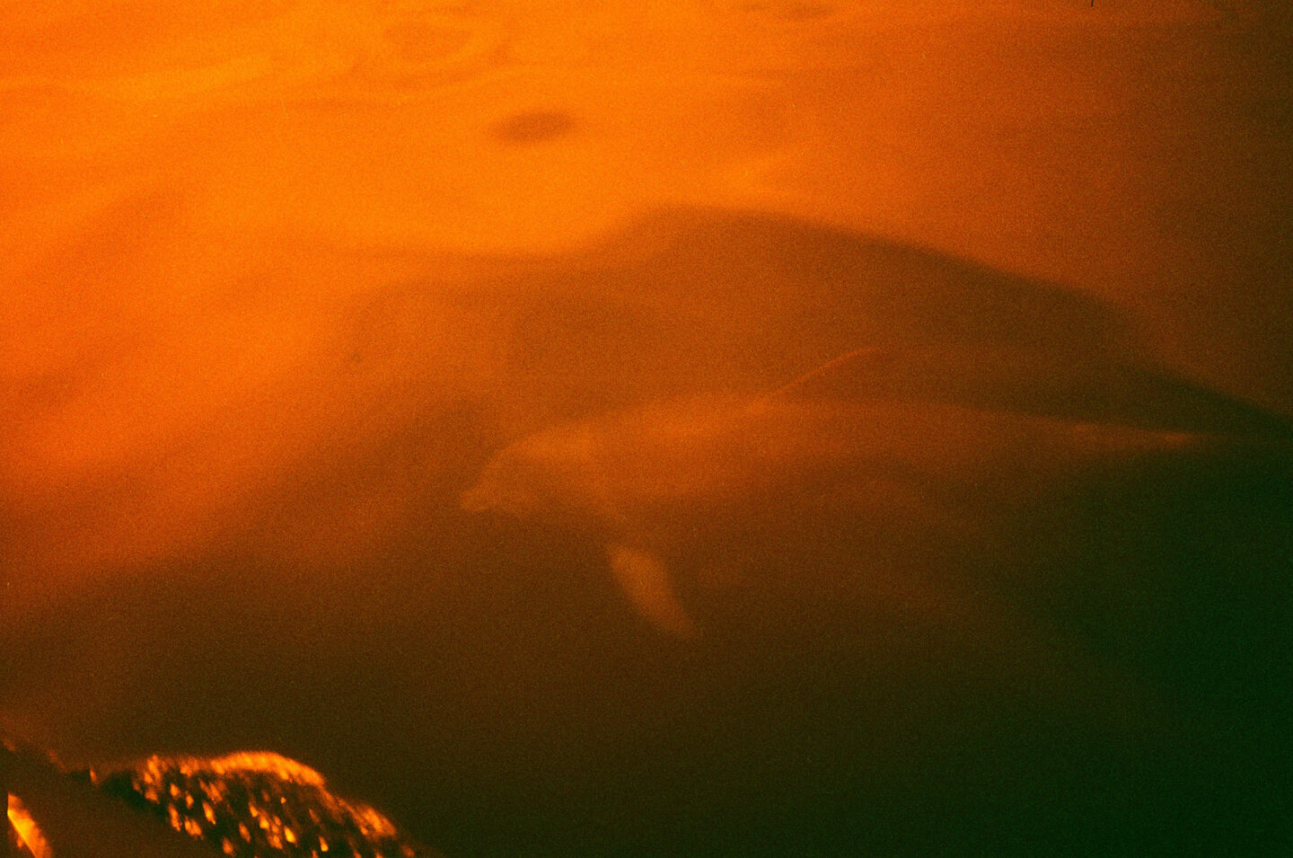 2025 у 100 знімках українських фотографів