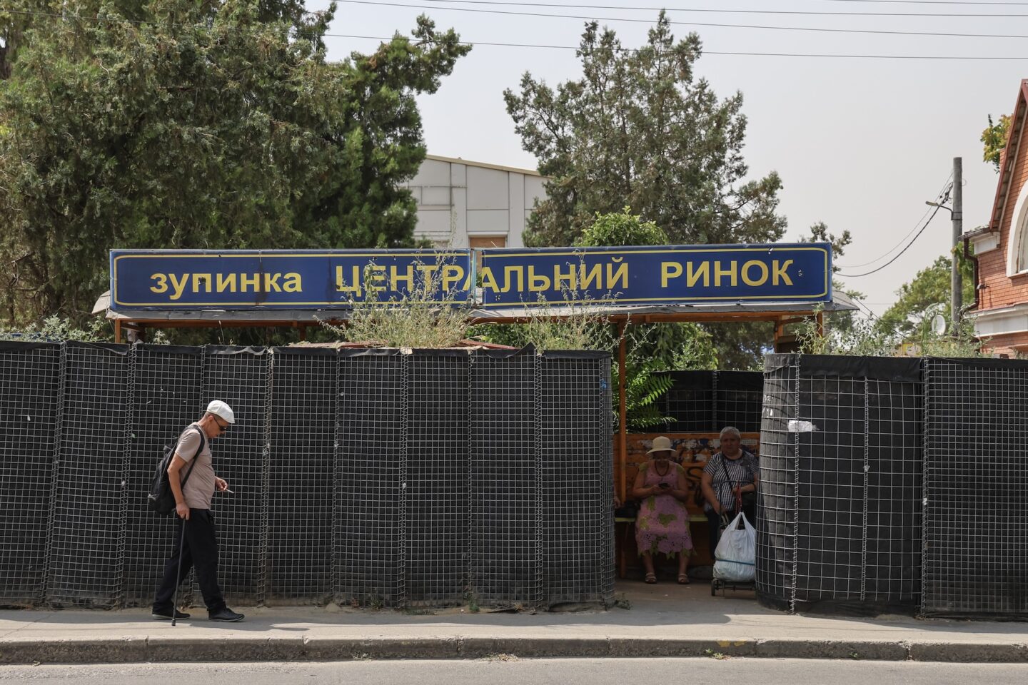 Я народився у черешні