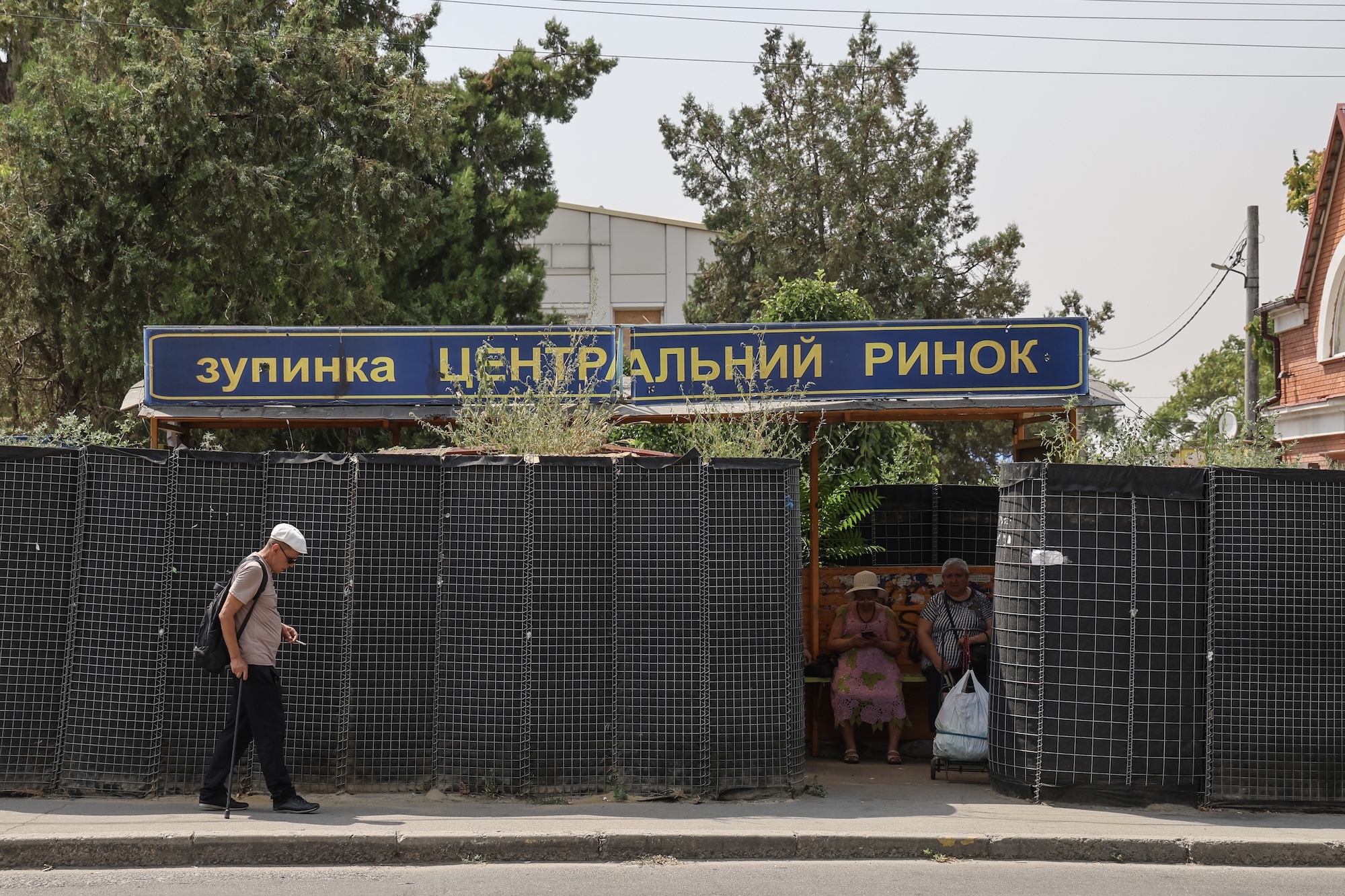 Я народився у черешні