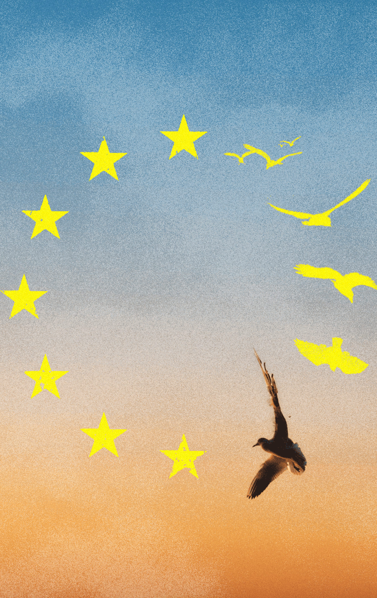 Роздуми про Європу з України
