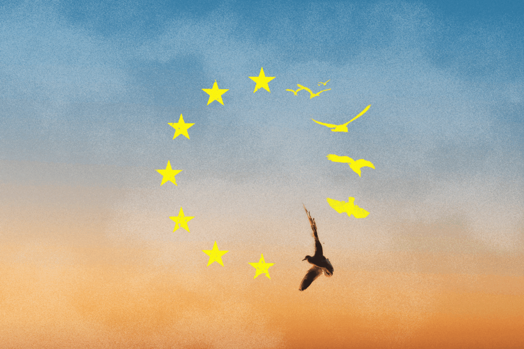 Thinking about Europe from Ukraine