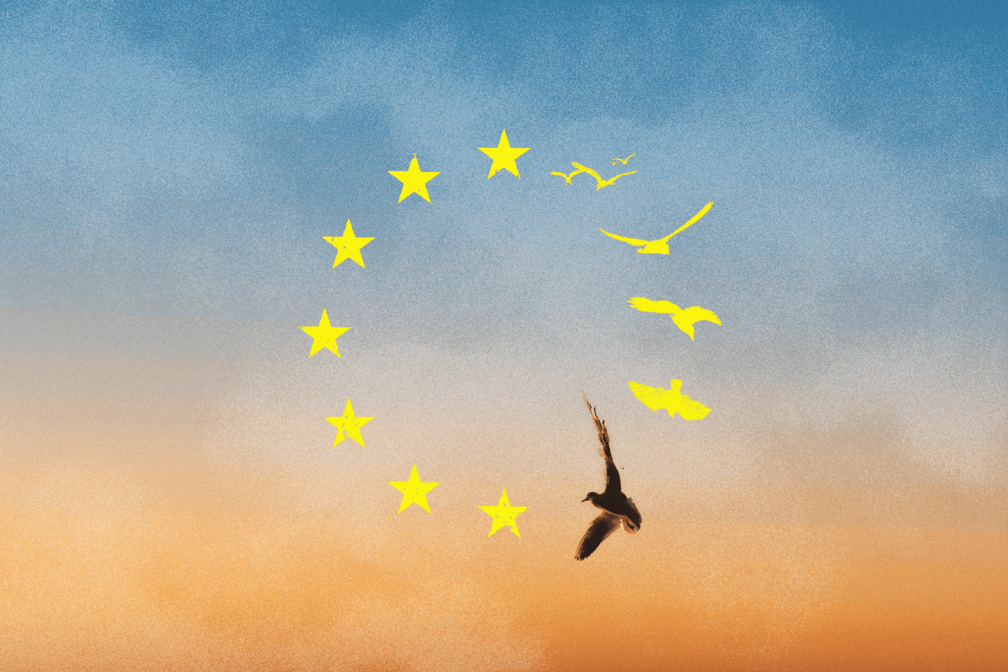Thinking about Europe from Ukraine