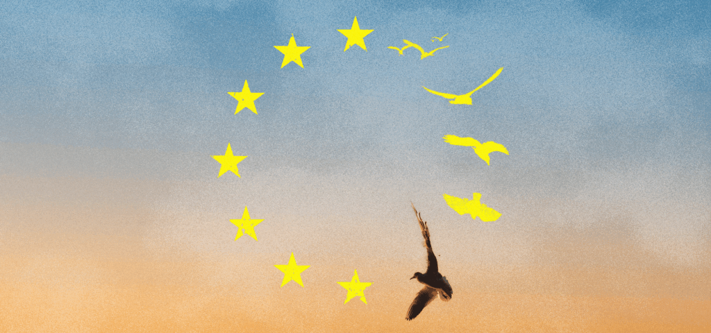 Роздуми про Європу з України