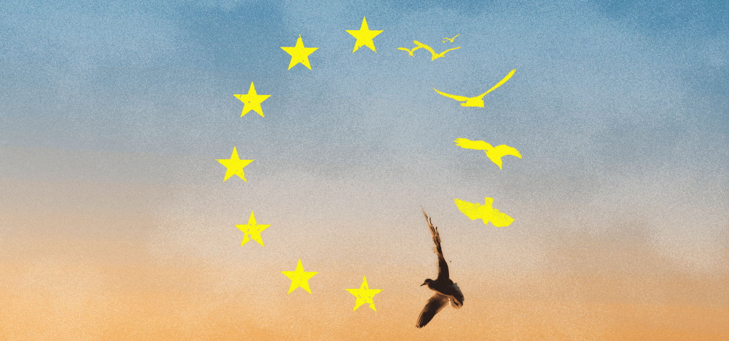 Роздуми про Європу з України