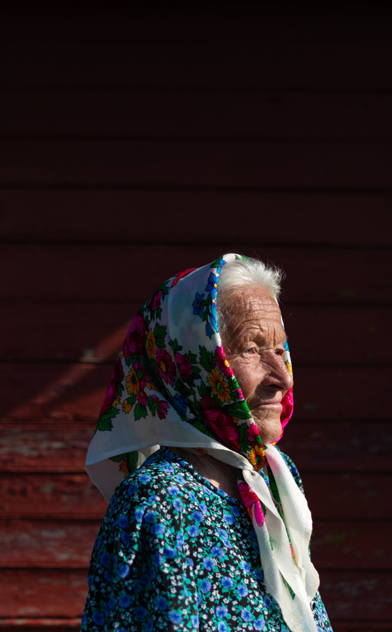 Голос роду — Домініка. Доміня. Даня
